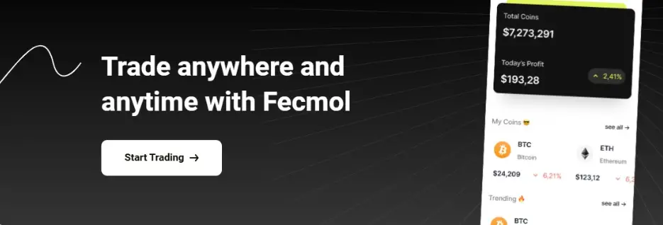 Fecmol.com Image