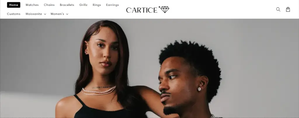 Carticenyc Homepage 